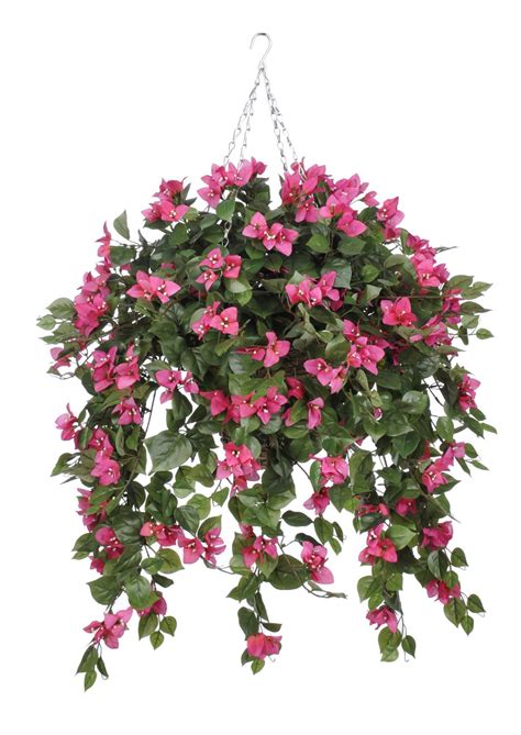 pink flowers  hanging   metal chain