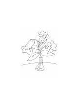 Bellflower Coloring Three sketch template