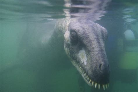 loch ness monster spotted   eighth time  year   number