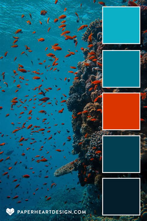 Color Palette Teal Blue Orange Coral Reef In 2021 Color Palette