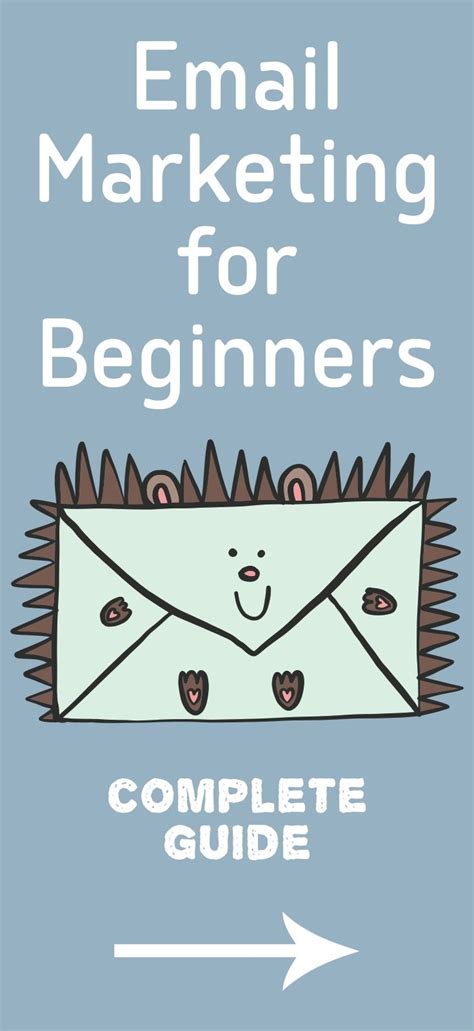 beginners guide  email marketing  small businesses