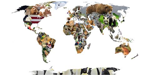 symbolic national  common animals   world oc  mapporn