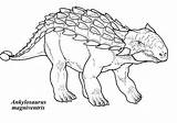 Ankylosaurus Dinosaurus Magniventris Colornimbus Jurassic Adults Disimpan sketch template