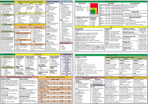 btec sport level  unit  complete knowledge organisersexample  exam prep notes