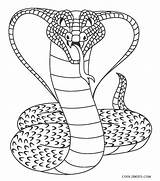 Snake Coloring Pages Snakes Printable Kids Cool Popular sketch template