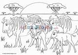 Wildebeest Colouring Scene Pages Animal African Village Activity Explore Animals sketch template