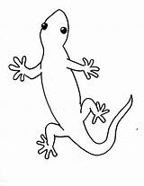 Gecko Reptile Lizards sketch template