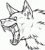 Wolf Angry Line Drawings Sketch Animal Lineart Draw Growling Drawing Dog Outline Sketches Demon Arts Face Step Werewolf Gif Animals sketch template