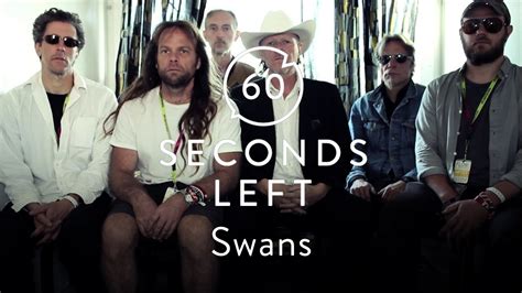 swans challenge    staring contest  seconds left youtube
