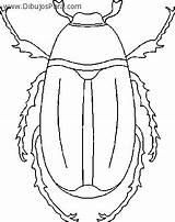 Colorear Escarabajo Escarabajos Colorat Planse Gandaci Insectos Desene sketch template