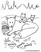 Fantastic Fox Mr Coloring Pages Getcolorings Colouring Col sketch template