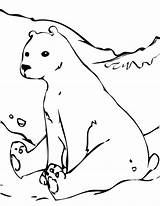 Polar Bear Playing Snow Coloring sketch template