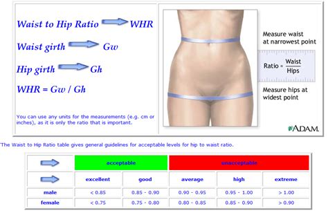 Your Waist To Hip Ratio Affects Your Health Healthy Options