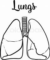 Lungs Lung Drawing Sketch Vector Clipart Drawn Hand Illustration Human Body Clipartmag Getdrawings Healthy Tuberculosis Realistic Anatomy Isolated sketch template