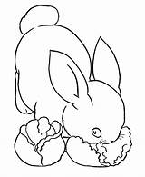 Coloring Pages Rabbit Bunny Animal Printable Animals Farm Lettuce Eating Easter Rabbits Kids Pet Pets Painting Colour Sheets Activity Colouring sketch template