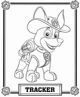 Patrol Paw Coloring Pages Tracker Print Kids Printable Version sketch template