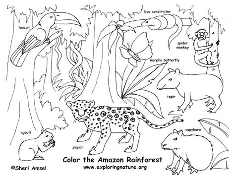 animal habitat coloring pages  getdrawings