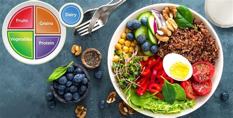 create  perfect healthy plate scienceooze