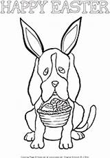 Easter Coloring Dog Pages Bunny Ears Kate Printable Holidays sketch template