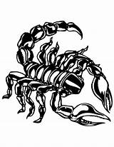 Scorpion Coloring Pages Print Color Kids Shells Template sketch template