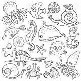 Coloring Pages Ocean Life Printable Colouring Fish Adults Print Kids sketch template