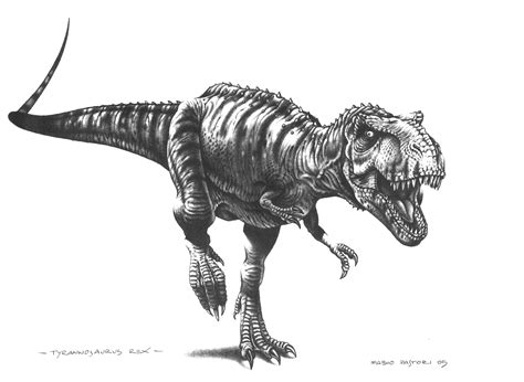 tyrannosaurus rex  paleopastori  deviantart