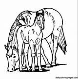 Horse Coloring Pages Colouring Library Clipart Printable Kids sketch template
