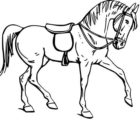 horse outline drawing  getdrawings