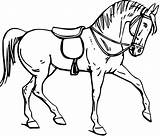 Horse Outline Drawing Horses Coloring Getdrawings sketch template