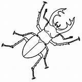 Beetle Drawing Coloring Stag Insect Line Bug Pages Beetles Rhino Insects Bugs Drawings Outline Color Scarab Deviantart Google Simple Draw sketch template