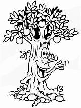 Coloring Tree Book Popular Trees Pages sketch template