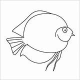 Discus Fish Draw Drawing Step Easy sketch template