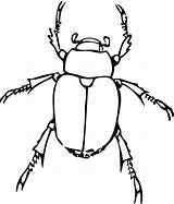 Bug Drawing Line Drawings Clip Coloring Insects Insect Colouringbook Drawn Clipart sketch template