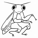 Mantis sketch template