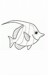 Draw Fish Coloring Angel sketch template