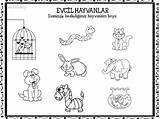 Hayvanlar Evcil Boyama Sayfalari Hayvan sketch template