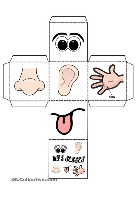 senses game  senses kindergarten senses preschool