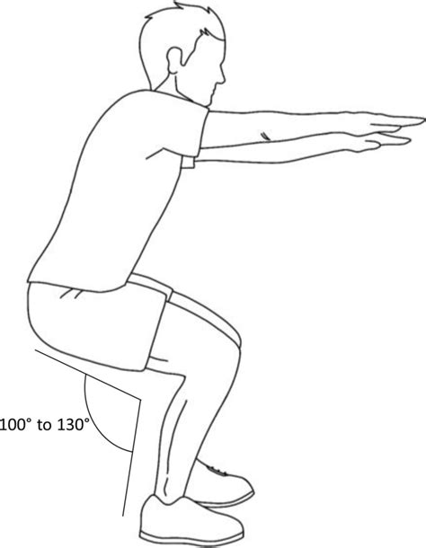 schematic illustration   performance   squat