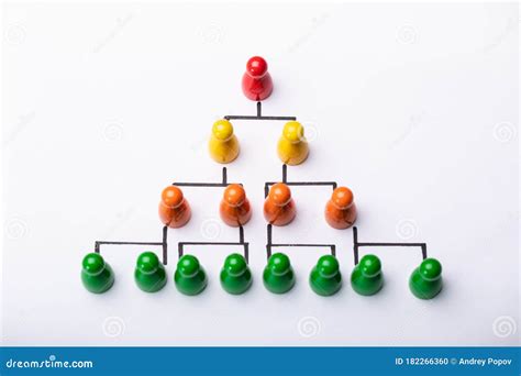 hierarchical structure   royalty  stock