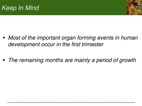 Ppt Chp 7 Development And Sex Determination 7 1 The Human