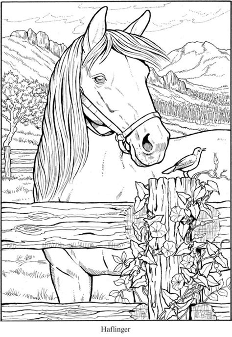 horse coloring pages stamping