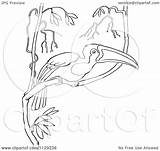 Toucan Clipart Outlined Wild Tree Cartoon Picsburg Coloring Vector sketch template