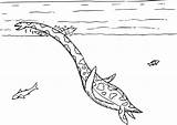Plesiosaurus Fish Dinosaurs Coloringpagesonly sketch template