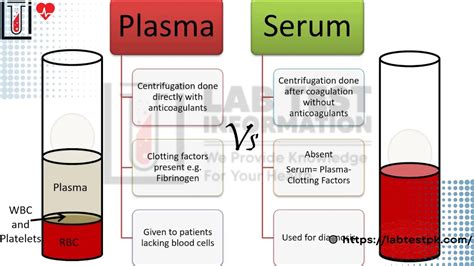 plasma  serum difference  lab test information