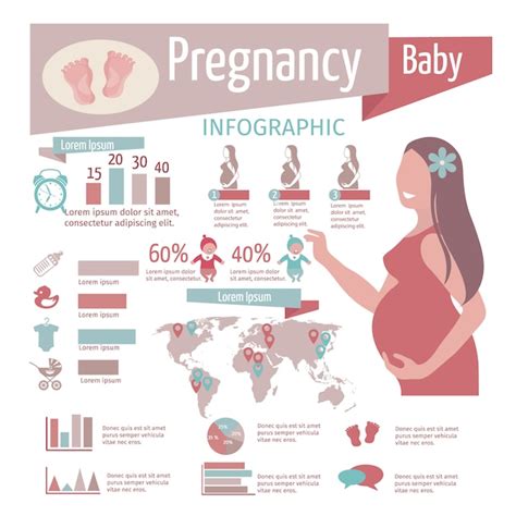 pregnancy infographics set with reproduction symbols and charts free