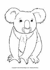 Koala Colouring Australian Animal Animals Pages Drawing Coloring Templates Outline Activityvillage Printable Bear Australia Drawings Colour Koalas Cute Aussie Patterns sketch template