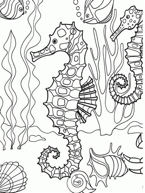 amazing sea coloring pages   decade check