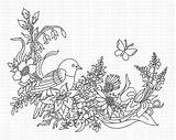 Coloring Wildflower Pages Bird Stamp Print Wild Flower Adult Digi Sheet Vine Getdrawings Getcolorings sketch template