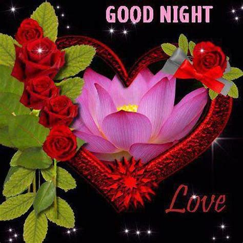 Rose Good Night Love Quote Pictures Photos And Images