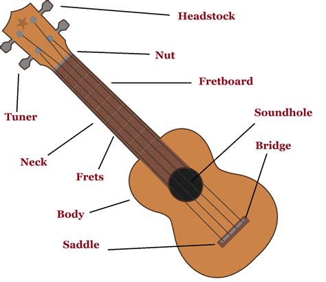 parts   ukulele learn uke anatomy  stringvibe